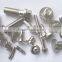 customized various non standard stainless steel bolts