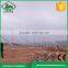 China Exporter Solar Ground Bracket Mount Racking