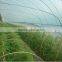 greenhouse film 200 microns 2015 greenhouse film 200 microns with low price