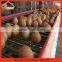 Stable steel structure professional chicken egg layer cage philippine chicken egg layer farm                        
                                                                                Supplier's Choice