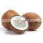 Coconut Semi Husked