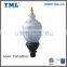 Induction Lamp Acorn Lighting 100W