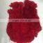 wholesale rex rabbit fur skin, dyed color
