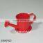 Indoor Flower Watering Pots for Home & Office