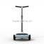 hangzhou two wheel electric self balance hoverboard with handle
