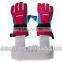 Boxing glove dryer