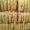 Coconut Fiber 2016 in Vietnam (qq : 2598494113)