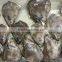 frozen greenland halibut head for sale