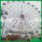 China ferris wheel for sale