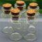 Mini 5/10/20/30/50ml bottle with cork, penicillin bottle floating bottle glass good luck wishing bottle
