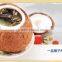 Instant Coconut Milk Powder with strong coconut taste