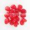 HACCP Certified snack fruits freeze dried red sour cherry dried cherries