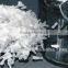 good supplier MSG monosodium glutamate food flavor best cost