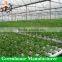 Multi-span hydroponic tunnel film greenhouse