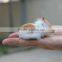 dollhouse simulation breathing sleeping animals toy