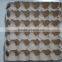 Egg Tray/Plastic vaccine quail egg tray/Disposable egg tray