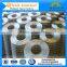1x1 galvanized welded wire mesh aviary mesh buy