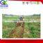 farming equipment two rows onion harvester