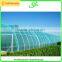 tunnel farming greenhouse for agriculture