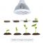 Amazon Best seller hot item 12W LED Growing Bulb for Indoor Garden Greenhouse and Hydroponic Aquatic,E27 3Bands