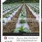 Agriculture used non-woven A large number of exports the United States
