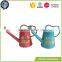 Small Indoor Garden Kids Galvanized Watering Can