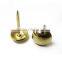 SNL-01 Clog nail & sofa nail