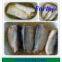 New Crop Canned Sardine Fish in Oil/in Brine/in Tomato Sauce