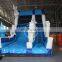 Giant Commercial Inflatable frozen inflatable slide for sale