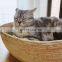 Cat Nest Rattan Summer Cool Nest Four Seasons Universal Cat House Cottage Bed House Enclosed Mesh Cat KNIT Four Seasons General