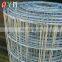 1/4'' Galvanized Welded Mesh Best Price Welded Wire Mesh Roll