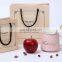 Small Size Luxury Beige Gift Shopping Paper Bags Custom Small With Logo Handle