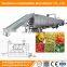 Automatic tunnel dehydrator auto vegetable herb continous conveyor mesh belt dryer machine cheap price for sale