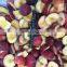 Chinese IQF Plum Halves Frozen for Juice production