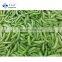 Experienced and Professional Supplier of IQF Frozen Sweet Sugar Snap Pea