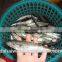 Frozen Seafood pacific macekerel Fish To Supply with size - 80g / pcs