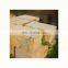 Jinan Yellow Sandstone, Shandong Sandstone , China Yellow Sandstone