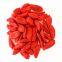 freeze dried Goji berry