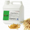 Wheat Flavor Essence Powder for Bread Cake Baking Etc. the Taste Is Real and the Aroma Is Lasting