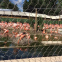 Stainless Steel Hand Woven Ferrule Cable/Knotted Rope Safety Aviary Zoo Mesh Fence
