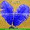 Beautiful Ostrich Large Feather colorfull Wedding Craft Decoration