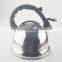 2.5L eco-friendly s/s water kettle with full color coating tea pot