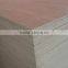 Poplar plywood 1220*2440mm