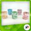 Wholesale Alibaba Clear Glass Mini Flower Vase