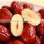 2015 harvest shanxi province red dates