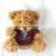 High quality plush Teddy Bear with T-Shirt