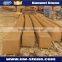 Honed surface golden sandstone,Golden color sandstone slabs and tiles