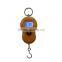 40Kg ABS Plastic Orange Weighing Hanging Scale