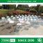 factory price white church plastic folding chairs