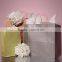 GOLD RUSH METALLIC INK KRAFT PAPER SHOPPING BAGS